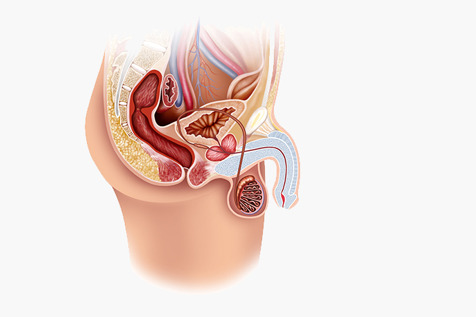 La balanitis causa dolor en el pene, inflamación y comezón