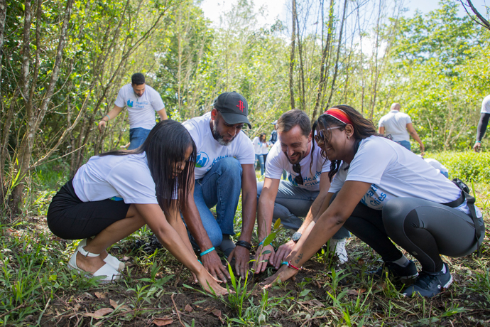 Equipo de Bupa sembrando árboles
