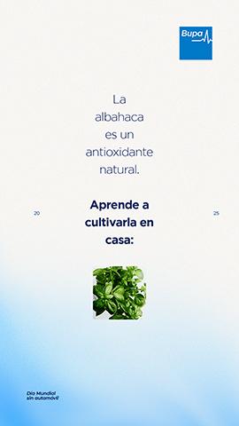 Día Mundial de la Salud Ambiental